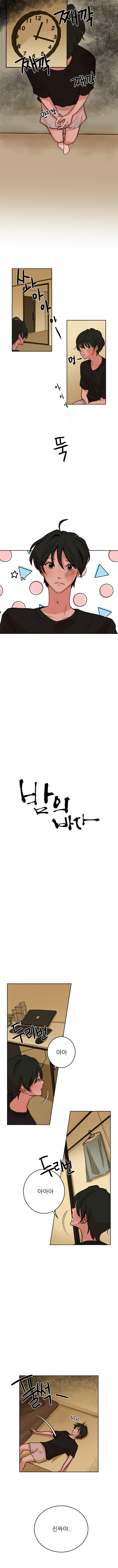 ̼ҿ -  ٴ